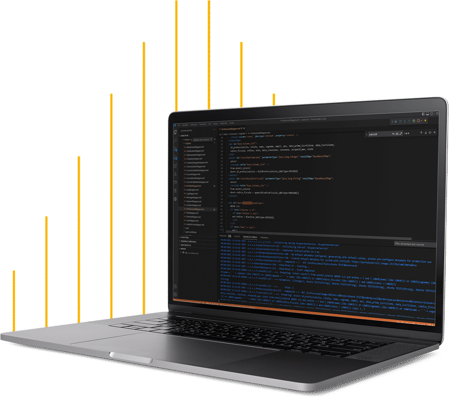 software custom